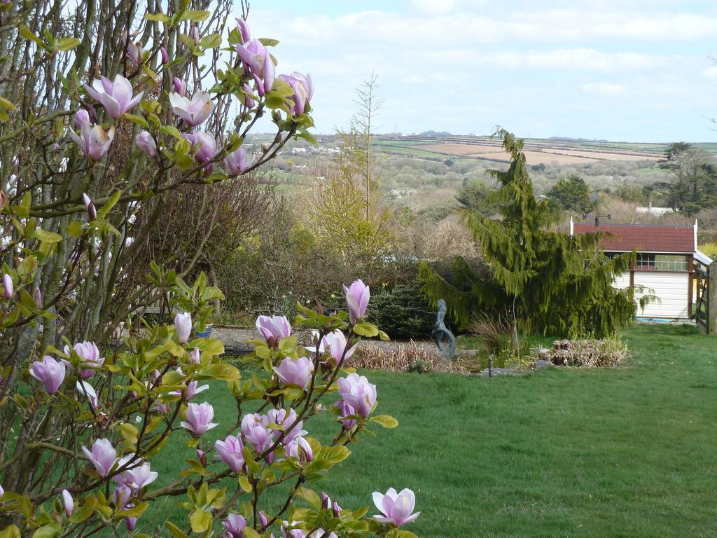 The White Cottage B&B Saint Teath Экстерьер фото